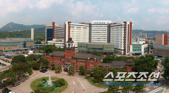 서울대병원, 19일 '경추질환' 무료 건강강좌 개최