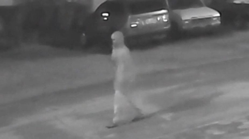 공포의 美 플로리다…권총 연쇄살인범 4번째 범행