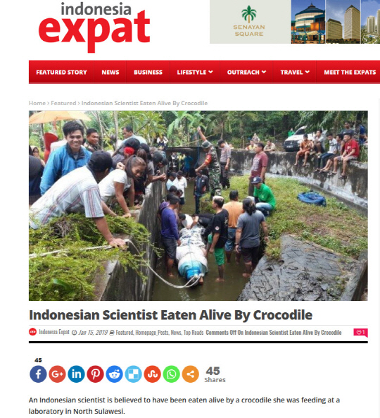 인도네시아 과학자, 사육하던 5m 악어에 물려 숨져