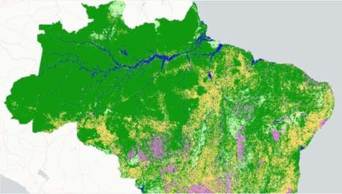 브라질, 1985∼2017년에 전체 삼림의 11% 사라져…한반도의 10배