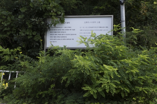 잡초만 무성한 파주 '북한군 묘지'…관리 소홀로 방치