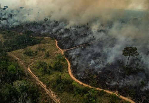 아마존 9개국 과학자들 '지구의 허파' 보호 위해 손잡는다