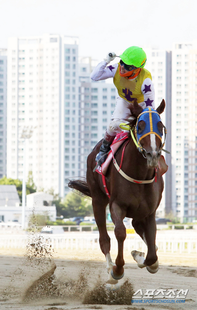 서울 대표 국산마 '파이널보스' 16일 은퇴