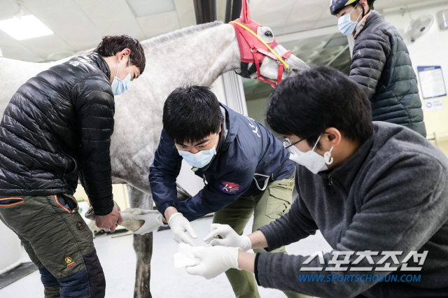 [경마]한국마사회, '말전염병 ZERO화 달성' 꿈꾼다