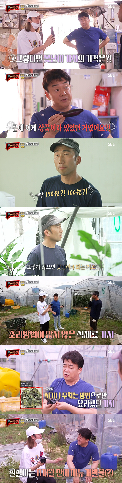 '맛남의 광장' 여주 가지X느타리 버섯 살리기…유병재 '텃새'에 찐당황