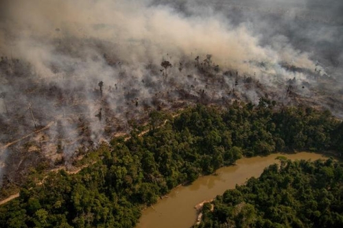 브라질서 2000∼2018년 한반도 면적의 배 넘는 삼림 사라져