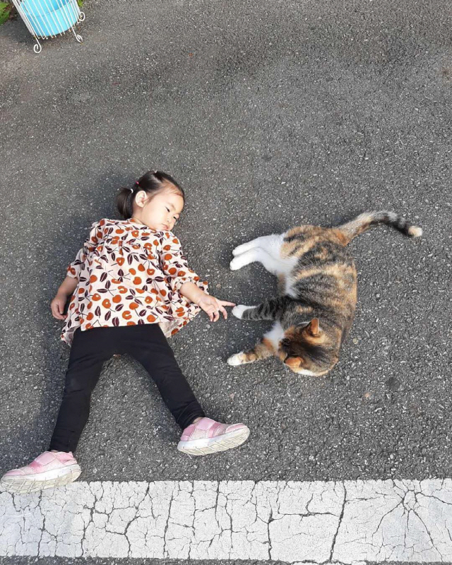 함소원♥진화 딸 혜정, 도로에 누워 고양이랑 교감 중…"야옹이 친구"