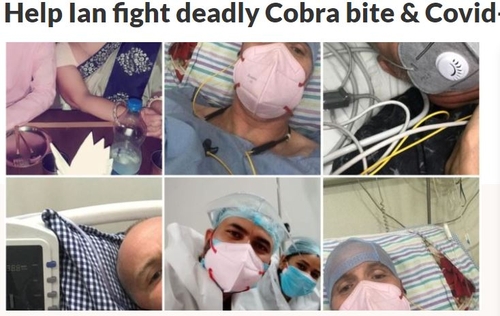 말라리아·뎅기열·코로나 이어 독사에 살아남은 불굴의 英남성