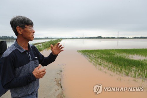  장마·태풍에 농산물값 급등…한반도 덮친 기후위기