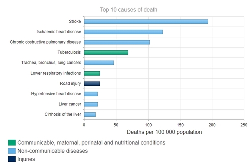 WHO "작년 북한 사망원인 1위는 뇌졸중…전염병 중엔 결핵"