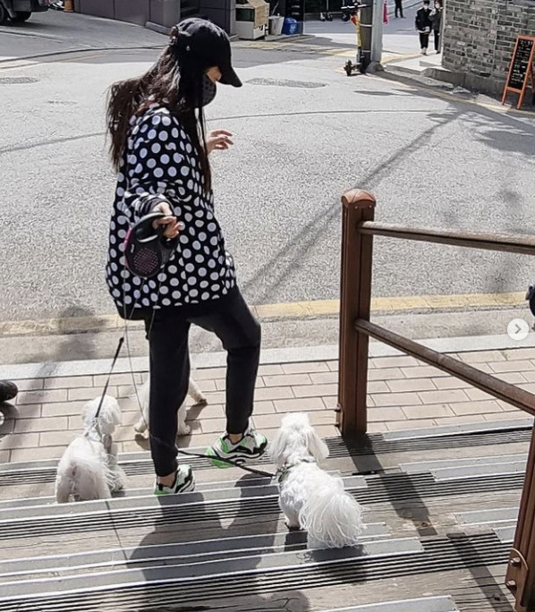 김희선 "우리집 앞에서 노래 부르며" 개 3마리와 산책