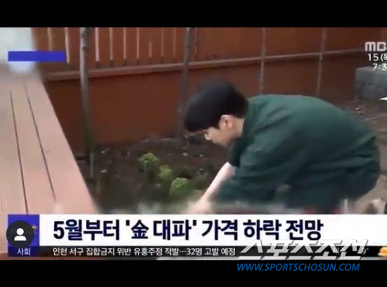 샤이니 키, MBC 뉴스에 등장 "실화야?"…"파 길러먹는 연예인"