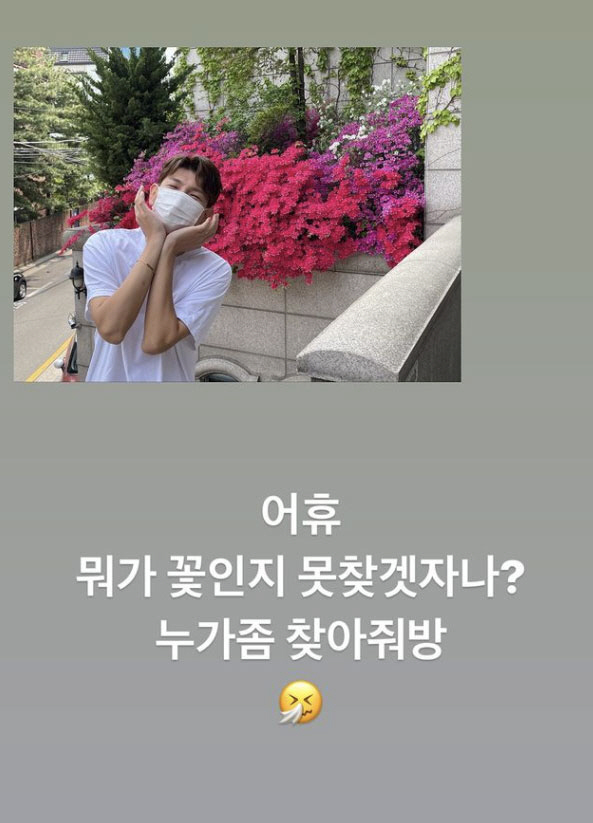 제이쓴, 홍현희 ♥에 점점 더 잘 생겨지네 "뭐가 꽃인지 못 찾겠자나?"