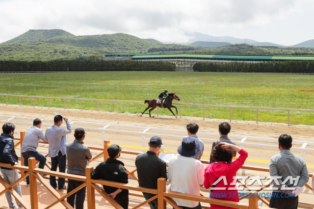  '말(馬)의 고장' 제주에서 열린 국내산마 경매, 통쾌한 반격은 언제?