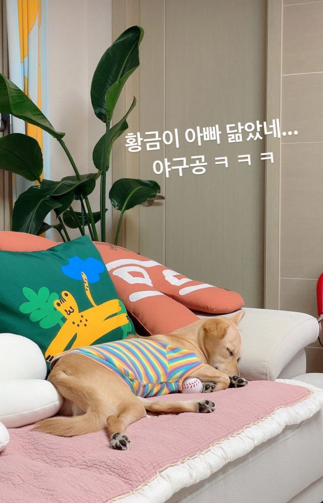 ‘윤승열♥’ 김영희, 자식 자랑 삼매경 “야구공을? 아빠 닮았네”
