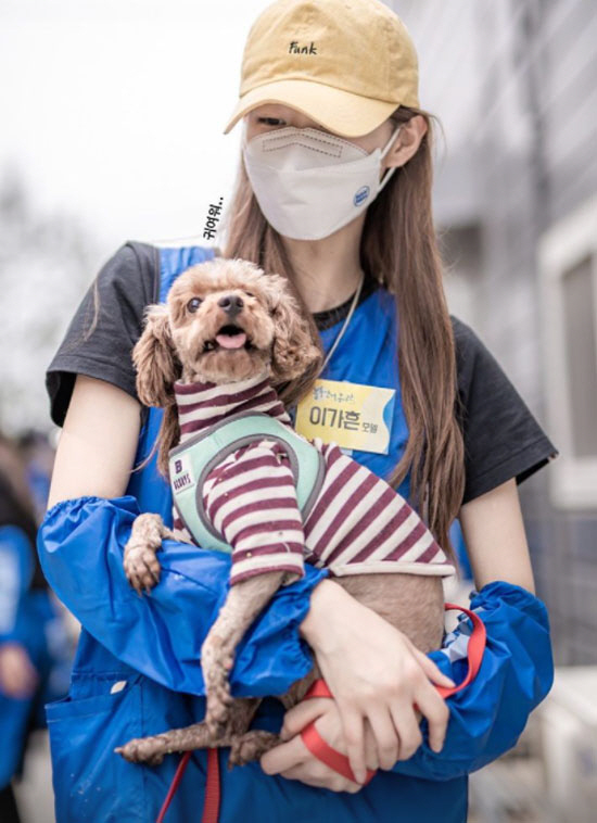 이가흔, '학폭 논란' 후 근황 보니…유기견 안고 "귀여워" 애정 듬뿍