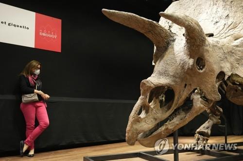 길이만 7ｍ …'세계 최대' 트리케라톱스 화석 90억원에 낙찰