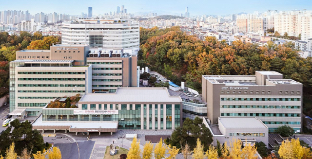 서울시보라매병원 12월 개원의 연수교육 개최