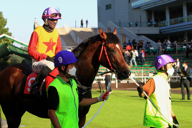 최고의 경마축제 코리안더비, '히트예감' 삼관마될까