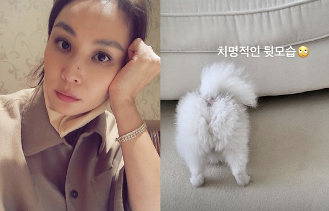 '장동건♥' 고소영, 요즘 '삶의 낙'이 뭔가 했더니…팔불출 엄마 "치명…