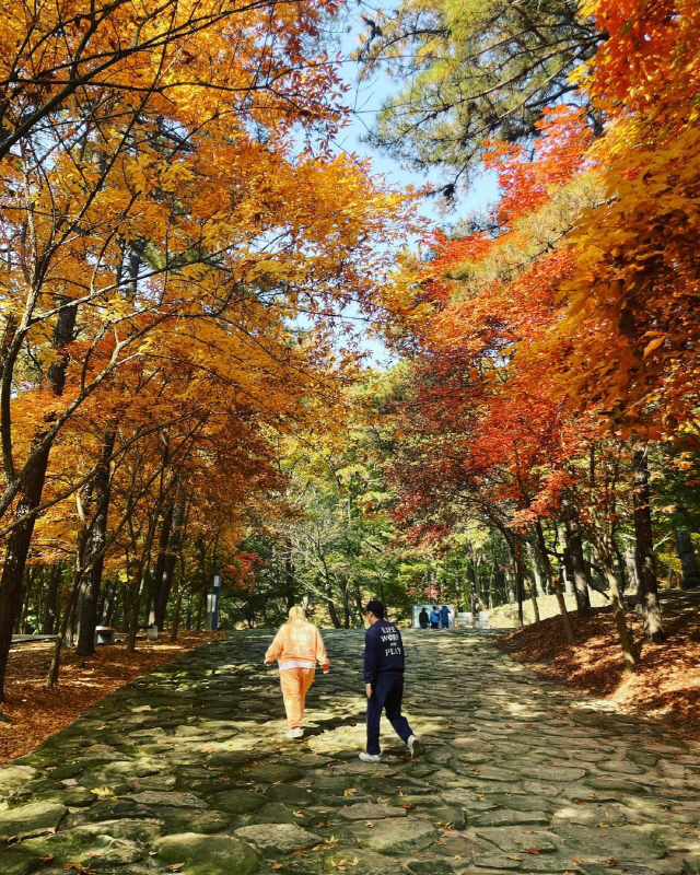 김민기, ♥홍윤화와 산책 중에도 눈을 못 떼네 '아내 바보'..."넘어질…