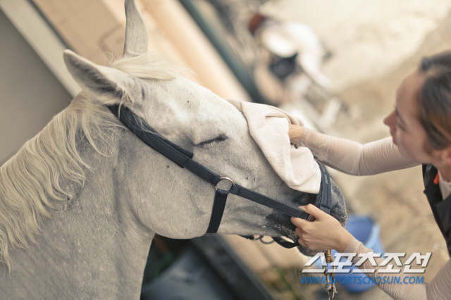 경마 100주년 맞은 한국마사회, 말 복지 위한 말 복지 세부 가이드라인…