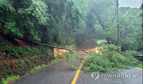 한밤 폭우에 서울서 정전·구조물 붕괴 등 잇단 사고