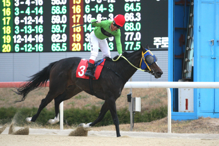 [경마]렛츠런파크 서울 1등급 경주마들의 1400m 경주