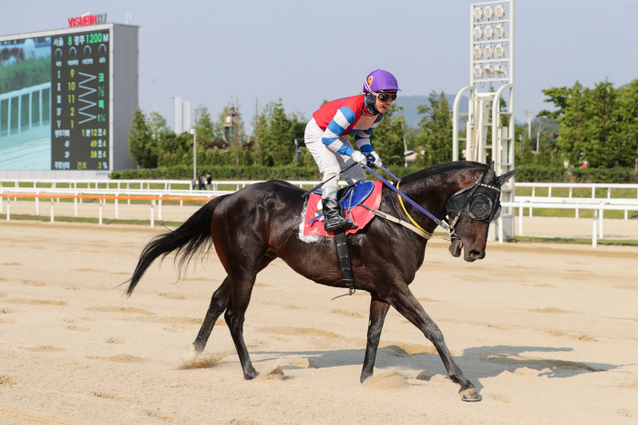 [경마]렛츠런파크 서울 1등급 경주마들의 1400m 경주