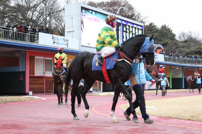 [경마]렛츠런파크 서울 1등급 경주마들의 1400m 경주