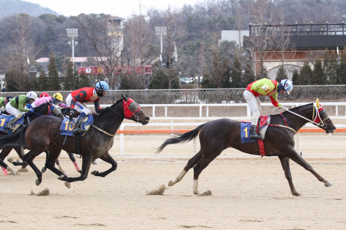 [경마]렛츠런파크 서울 1등급 경주마들의 1400m 경주