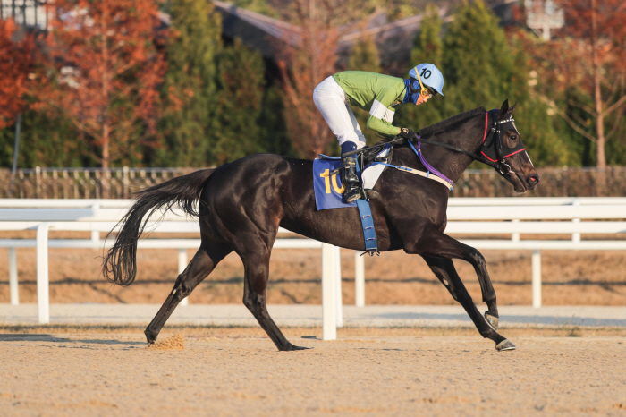 [경마]렛츠런파크 서울 2등급 경주마들의 1800m 경주 펼쳐진다