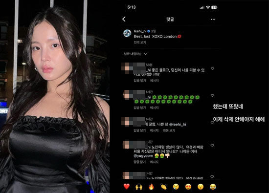 이하이, 욕설+구토 악플러 박제 후 웃음 "이제 삭제 안해야지 헤헤"