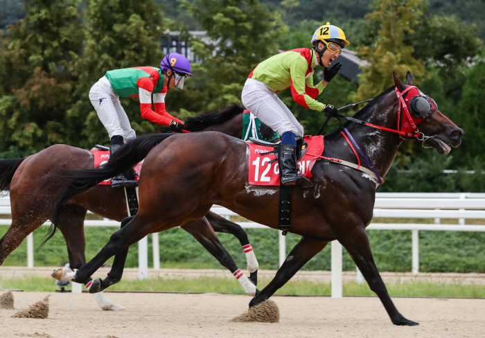 [경마]어마어마 vs 라온더파이터, 단거리 최강마 가리는 첫 관문'부산일…