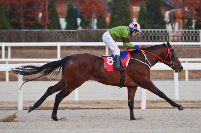 [경마]어마어마 vs 라온더파이터, 단거리 최강마 가리는 첫 관문'부산일…