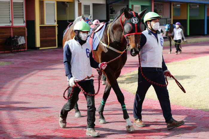 [경마]어마어마 vs 라온더파이터, 단거리 최강마 가리는 첫 관문'부산일…