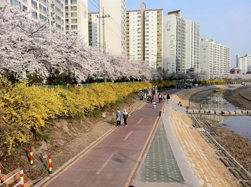 서울시 '아름다운 봄 꽃길 171선' 선정…우이천 벚꽃길 등