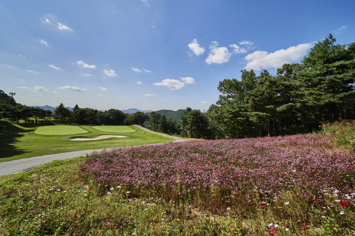 [골프소식]완연한 봄, 가성비 골프장 찾아볼까…XGOLF 4월 부킹 프로…