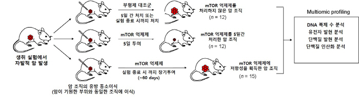 유방암 표적항암치료 무력화 유전자 찾았다