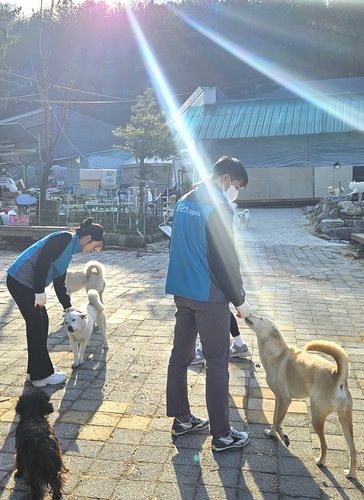 한국마사회 임직원, 유기 동물 보호소서 봉사활동