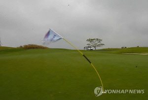 KLPGA 투어, 36홀로 대회 축소돼도 절반은 컷오프