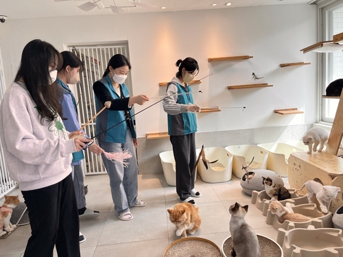 한국마사회, 동물복지 실천 위한 유기묘 돌봄 봉사활동 실시