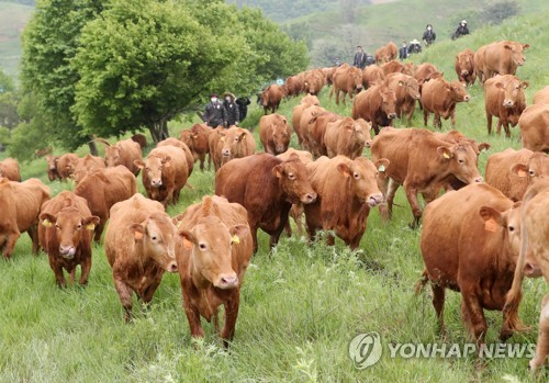 인간이 만물의 영장일까…신간 '니체가 일각돌고래라면'