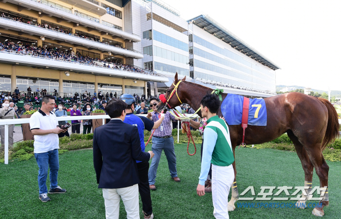 [대상경마] '강풍'이 또 몰아쳤다. 제34회 스포츠조선배 대상경마, 강…