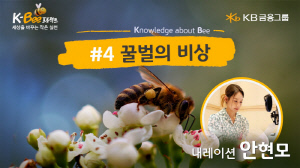 KB금융그룹, 'K-BEE 프로젝트' 영상 캠페인 '꿀벌의 비상' 편 공개