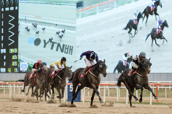 [경마]스테이어 최종전 부산광역시장배, '글로벌히트'우승 질주 이어갈까