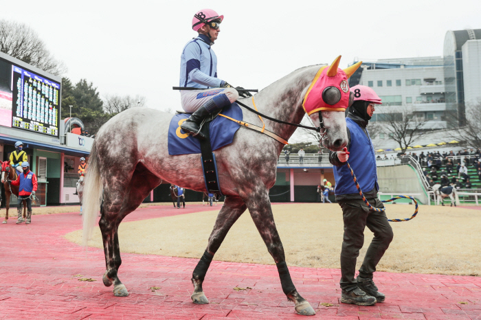 [경마]1등급 1200미터 경주, '제14회 스포츠경향배' 개최