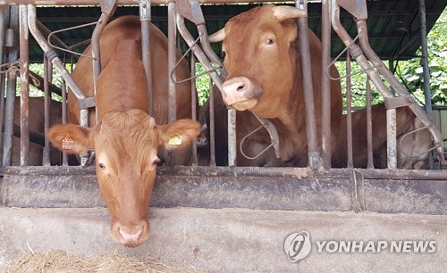 농식품부 환경부 가축분뇨 처리방식 다각화 업무협약 스포츠조선