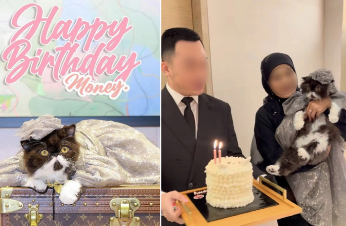 명품 매장서 연 애완 고양이 생일 파티…루이비통 목걸이 선물