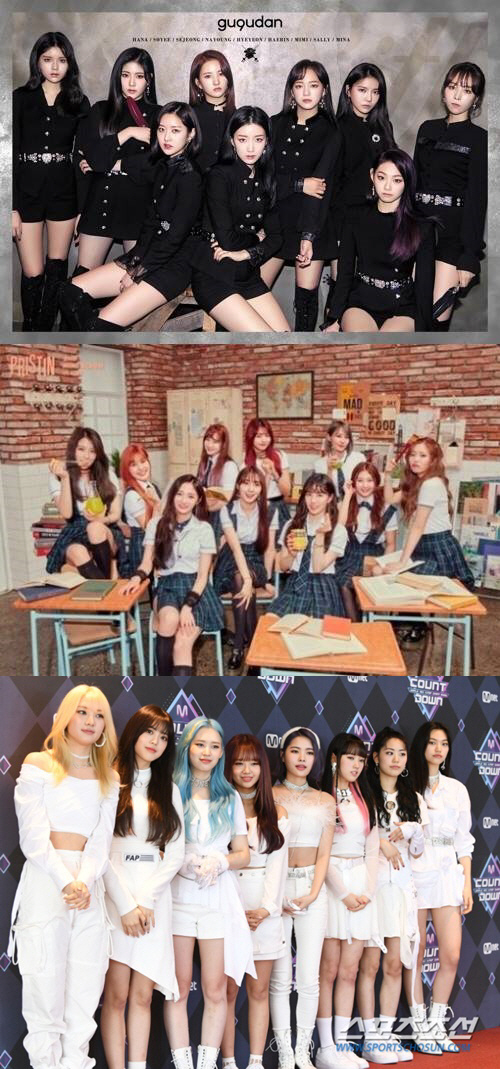 [SC초점]아이즈원 출신들은 잘나가는데…아이오아이, 프리스틴→위키미키 대…